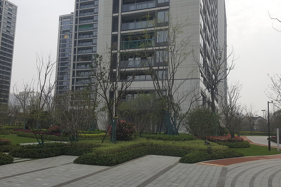 長(cháng)汀云廬現場(chǎng)照片