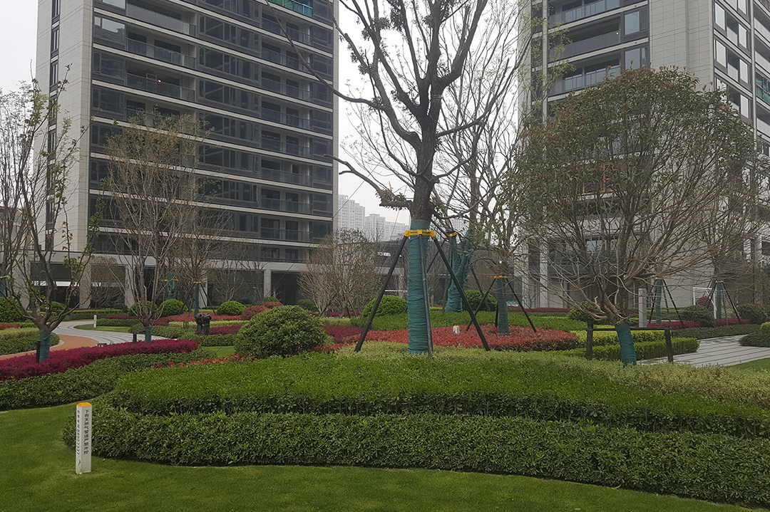 長(cháng)汀云廬現場(chǎng)照片