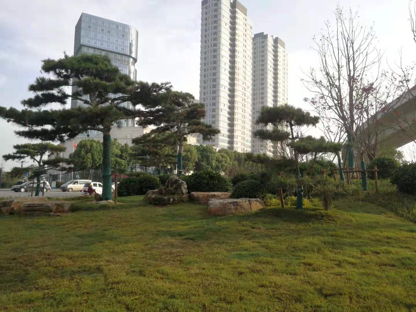 江蘇三葉園林股份有限公司