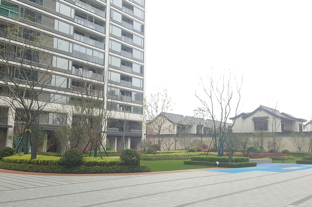 長(cháng)汀云廬現場(chǎng)照片